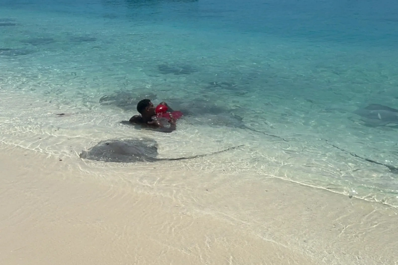 Le bord de l'eau à Phuket, des raies pastenagues à quelques mètres du sable