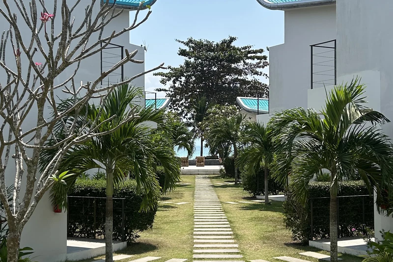 Allée d'une villa de Phuket entre les palmiers, la mer au fond