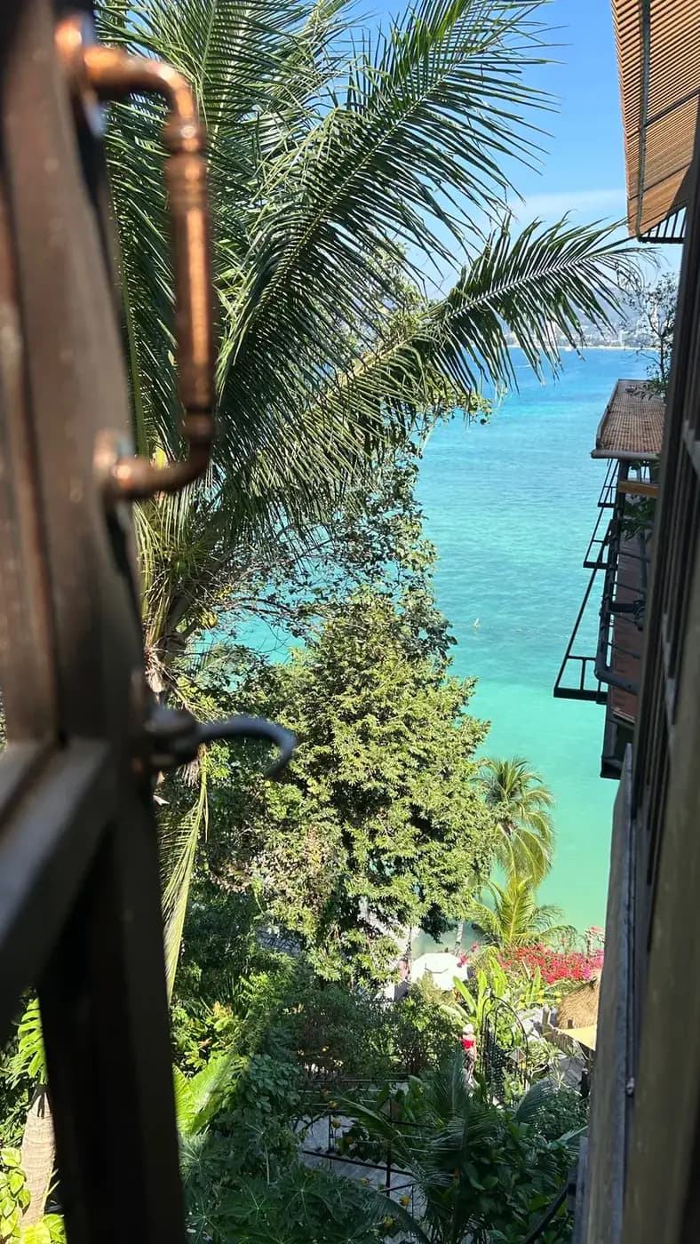 View from a villa balcony: palm trees, garden and turquoise sea below